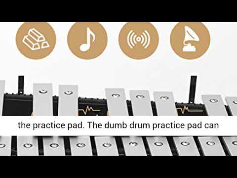 Eastar Advanced 32 Note Glockenspiel Xylophone Bell Kit Percussion Kit for Adult with 8 Inch Drum Pr