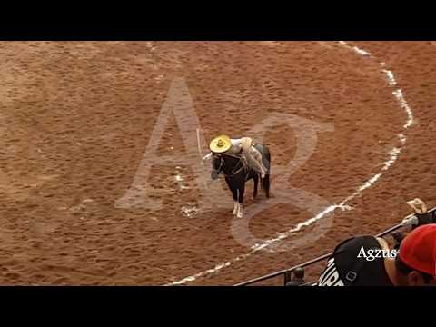 1 de 3 en Manganas a Caballo de Enrique Ramirez Pulido por Los 3 Potrillos