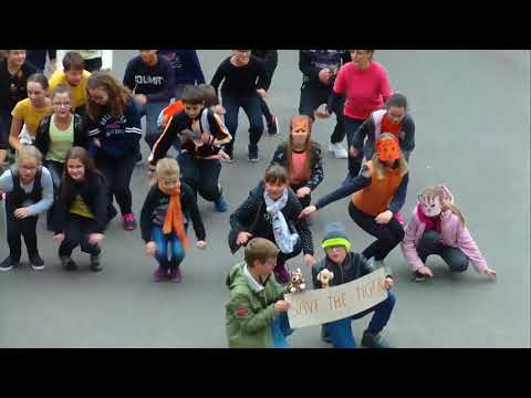 Tiger flashmob