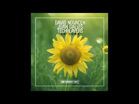 DAVID NOVACEK, JUAN GALVIS & TECHPLAYERS- La Luna (Original Mix)