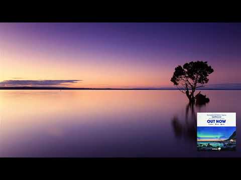 Numedian & Hidden Tigress - Spellbound