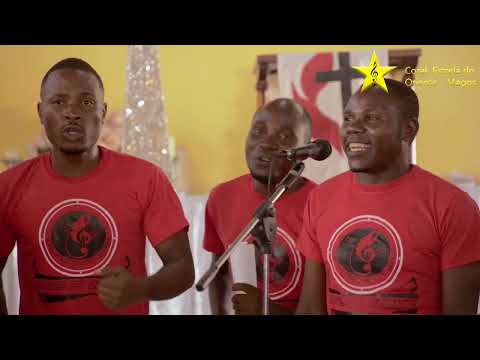 CORAL ESTRELA DO ORIENTE