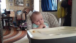 The whole fam damily