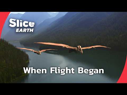 How Dinosaurs Became Birds | SLICE EARTH | FULL DOC