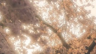 Download lagu TUGAS BAHASA SUNDA Nembangkeun Pupuh Balakbak anu judulna 'Aya Warung Sisi Jalan Rame Pisan.' mp3