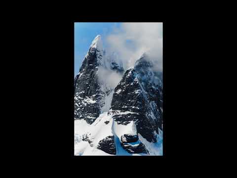 Moonbeam - Ulica celna