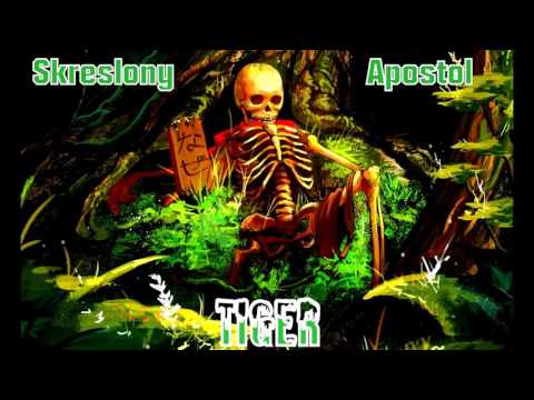 Tiger - Skreslony Apostol 2016