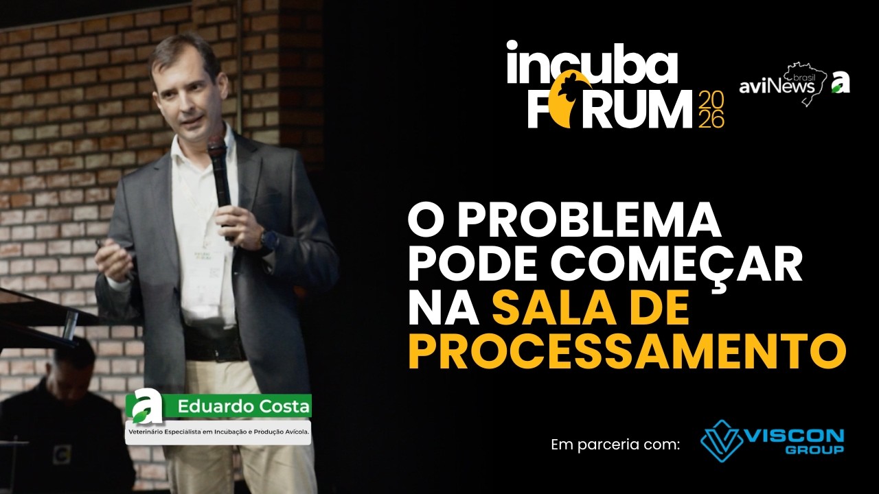 Automação no Incubatório: Como Evitar Novos Gargalos na Sala de Processamento