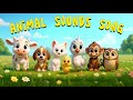 Animal Sounds Song Learn Animal Sounds For Kids English Nursery Rhyme Kidssong