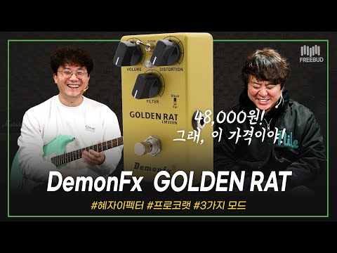 [투데이즈기어] 그래, 이 가격이야! 혜자이펙터! DemonFx 이펙터 GOLDEN RAT