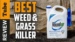 ✅ Weed Killer: Best Weed Killer 2021 (Buying Guide)