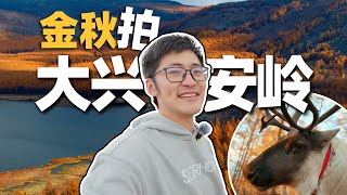 [情報] 影視颶風 領克Z10 好帥的車