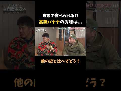 皮まで食べられる⁉高級バナナのお味は..? #おぎやはぎ #キャンプ #アウトドア