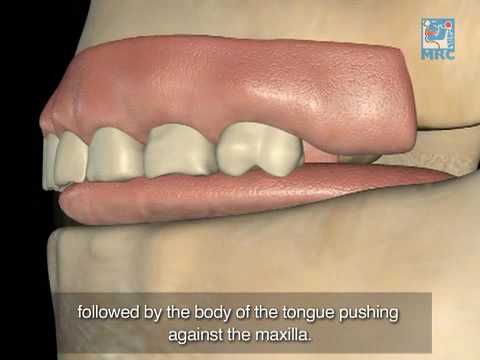 Mature Swallowing