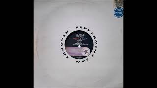 B.M.R. Feat. Felicia - Check It Out! (Everybody) (Sounds Of Life Full Vocal Mix)