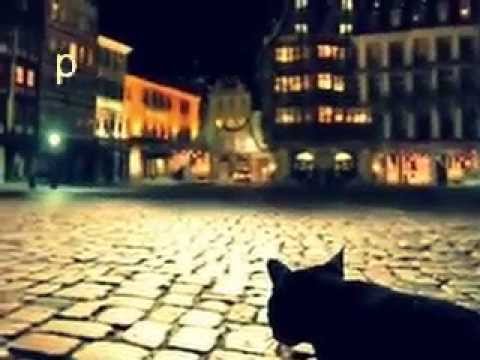 Gilbert Becaud - Et maintenant (subtitulos en español) (CC)