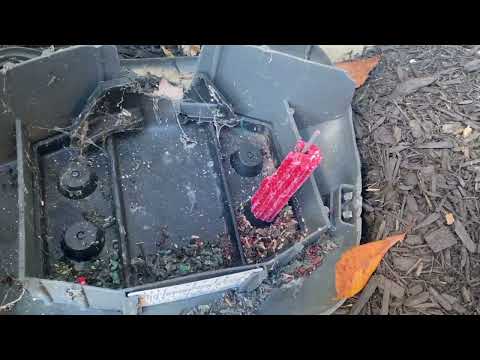 Facility Has Rodent Problem in Monroe Township, NJ