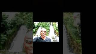 Timothy Brown says to Sow the Seeds for Success & don't stop!