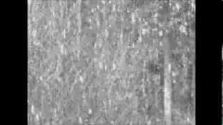 Dimension Zero - Slow Silence