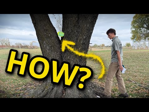 Nevada open disc golf practice round. Ft Brett lance & Andrew ...