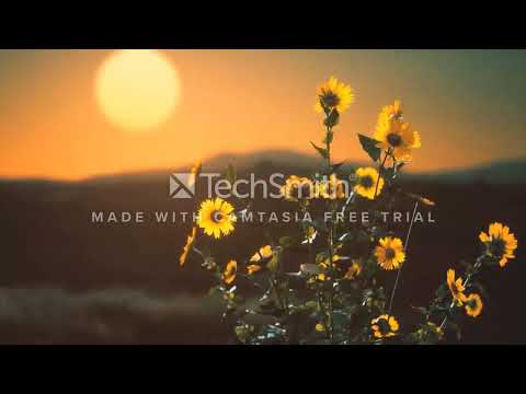 Polskie Piosenki ❗ Niezapomniane Polskie przeboje ❗ Top 100 Polska Muzyka Playlista