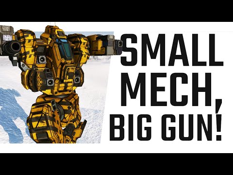 Small Mech, Big Gun! AC20  Blackjack - Mechwarrior Online The Daily Dose #1068
