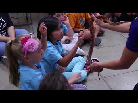Animal Ed-Ventures Summer Camp: Animal Science Unleashed