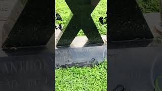 Very unique and interesting headstone design and touching epitaph.