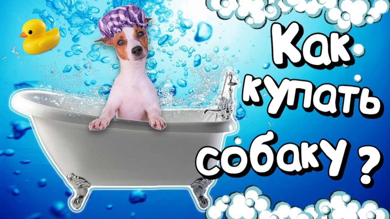 YouTube video preview