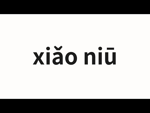 How to pronounce xiǎo niū | 小妞 (Chick in Chinese)