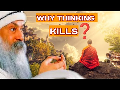 Osho on Meditation & No-Mind | The Cat Story That Shakes the Mind