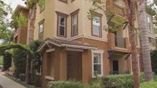 Terra Vista Luxury Rentals