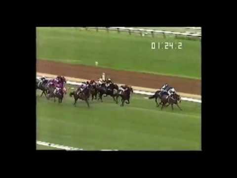 1991 Australian Guineas - Triscay