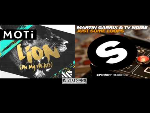 Martin Garrix & TV Noise VS MOTI - Just Some Lion (Andres Dueñas Mashup)