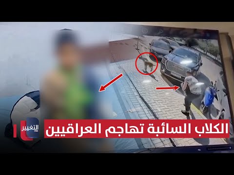 فيديو | الكلاب السائبة تهاجم العراقيين !! | تقرير