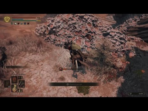 ELDEN RING - Blind run #128 - Gemelli D.