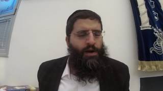 הלכה בפרשה  - פרשת כי תבוא