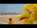 Sesame Street Big Bird S Road Trip 2019