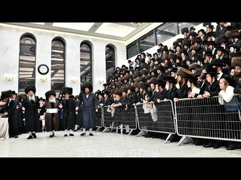 Wedding of Hornsteipel, Stropkov, Zlotchov & Kretchnif Yerushalayim Rebbe’s Grandchild
