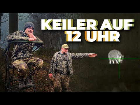 Kirrung für Schwarzwild - Unsere Tipps! #nordjagd