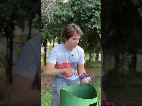 VENDEDOR DE AÇAÍ 😂😂