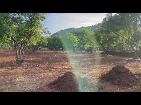 Walkthrough Walkthrough