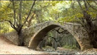 SERGIO MENDES &amp; BRASIL &#39;66 - DAYTRIPPER