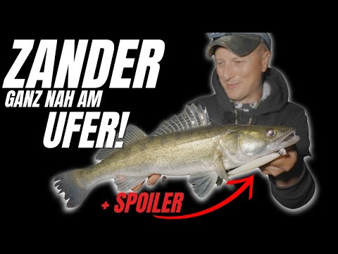 Zander are biting close to the shore! Here's how to use wobblers on the lake.