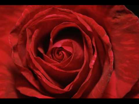 Lita's Mind Massage Audio - Part 2 - Massageclips ASMR