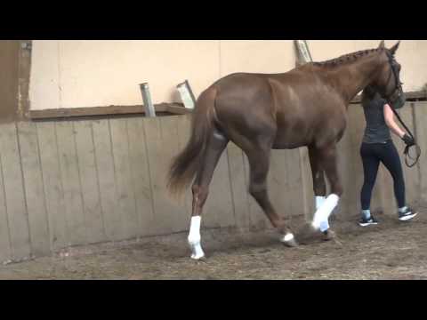 Don Juan's Dom Perignon