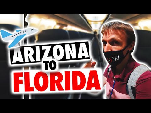 image-How long is a flight from Phoenix to Florida?