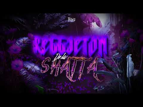 Trebiz - Reggaeton de la Shatta 🏴‍☠️ (Visualizer)
