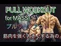 筋肉を強く大きくするプルワークアウト[Back&Biceps Pull Workout for Mass]