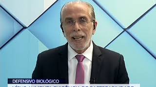 Miniatura do vídeo